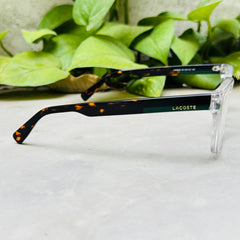 Lacoste – 2908 – 53 – Transparent Tortoise –  Acetate - Optics – Unisex - Premium