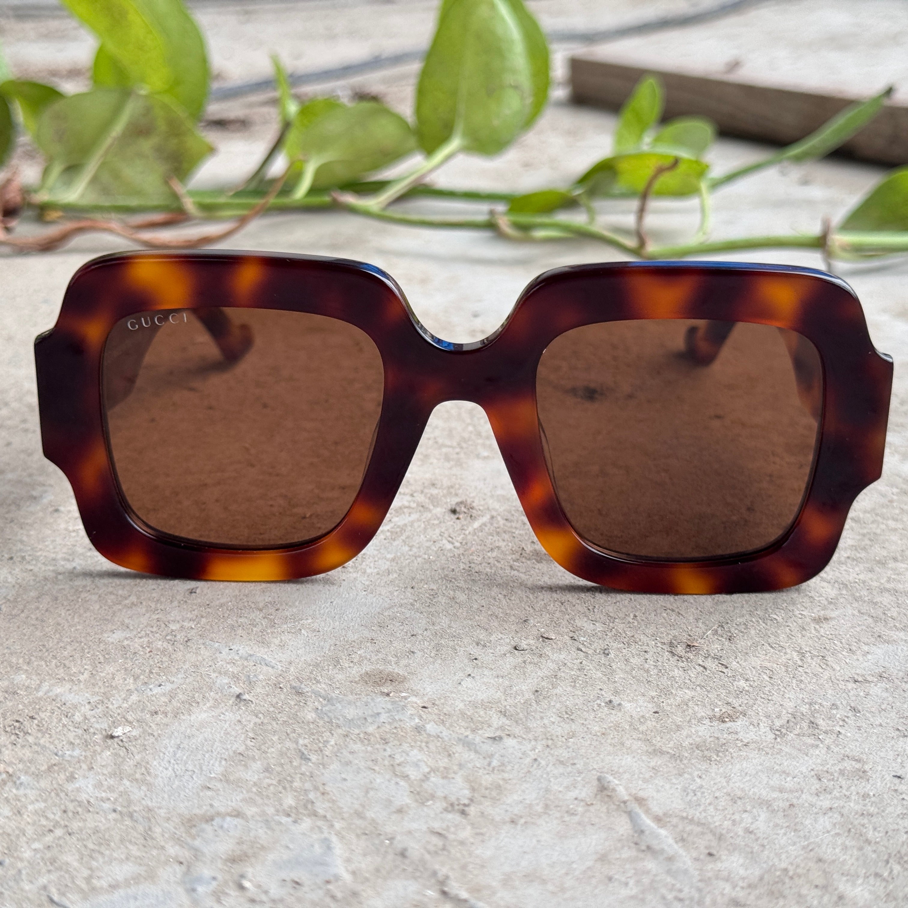 Gucci – 1547 - 50 –   Tortoise - Acetate - Sunglasses – Ladies - Premium