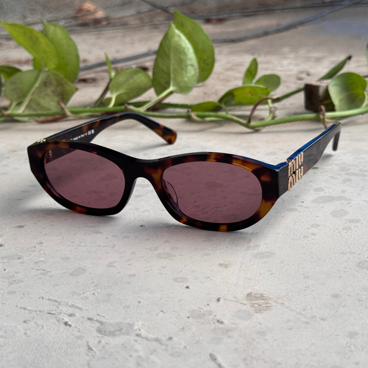 Miu Miu – A03 - 52 – Tortoise Purple – Acetate - Sunglasses – Ladies - Premium