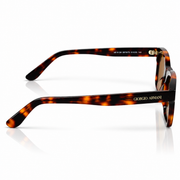 Armani - 8138 - 51 - Tortoise Brown - Acetate - Sunglasses - Unisex - Premium