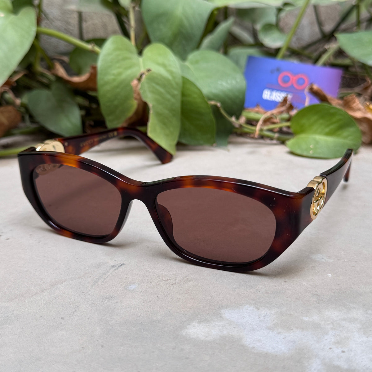 Gucci – 1826 - 57 - Tortoise Brown – Acetate - Sunglasses – Ladies - Premium