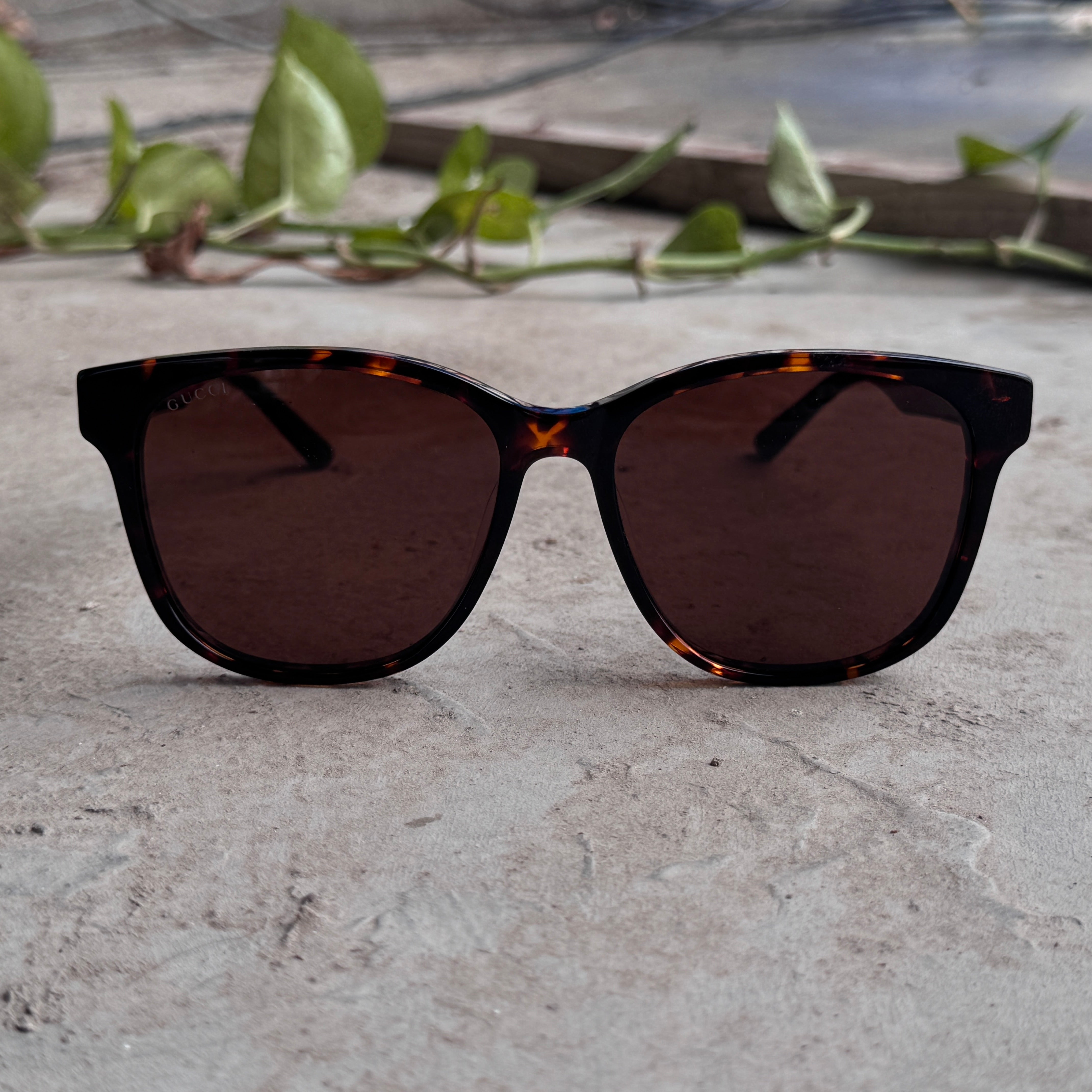 Gucci – 0417 - 56 – Tortoise - Acetate - Sunglasses – Unisex - Premium