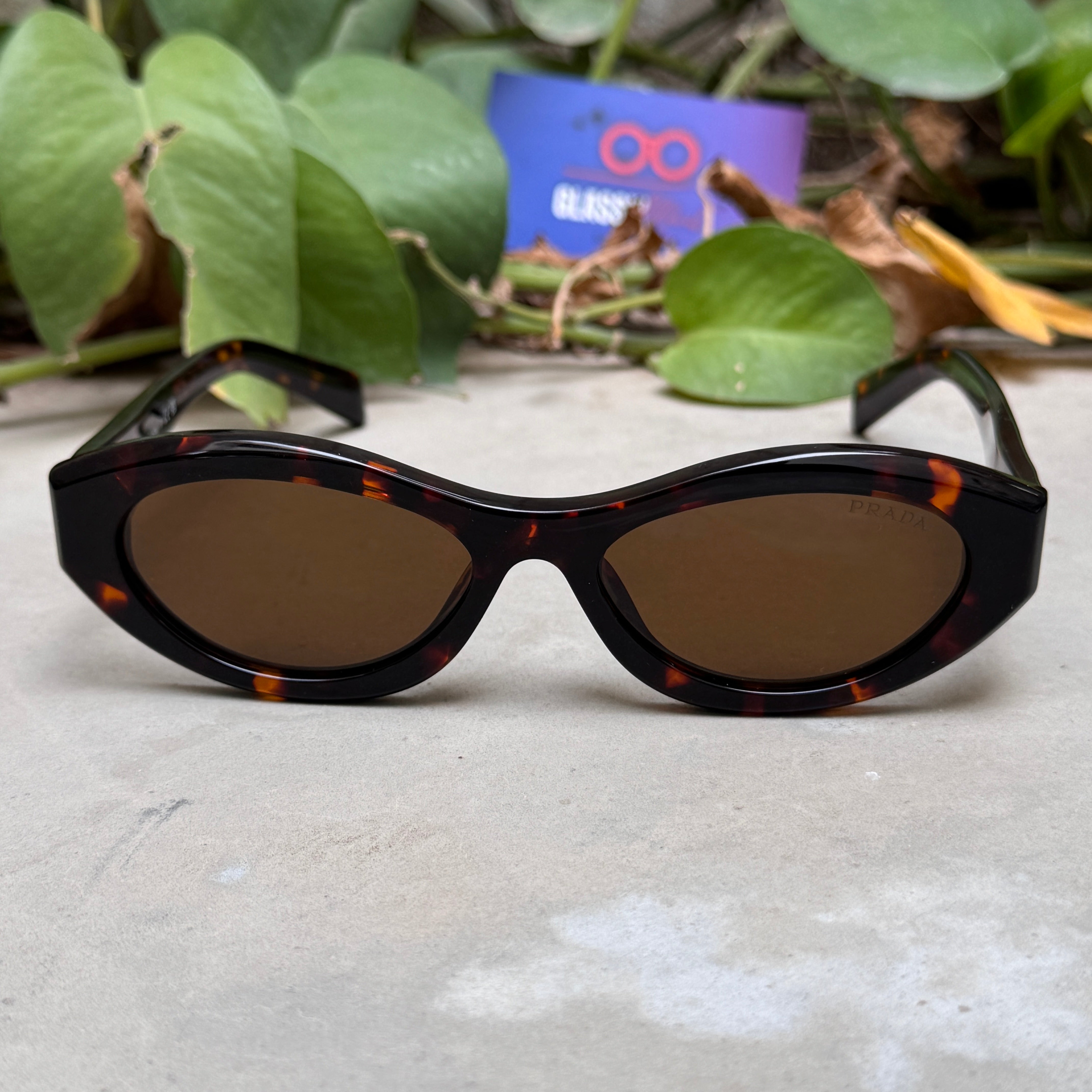 Prada – SPR 26Z - 56 - Tortoise Brown – Acetate - Sunglasses – Unisex - Premium