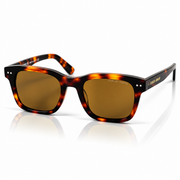 Armani - 8138 - 51 - Tortoise Brown - Acetate - Sunglasses - Unisex - Premium