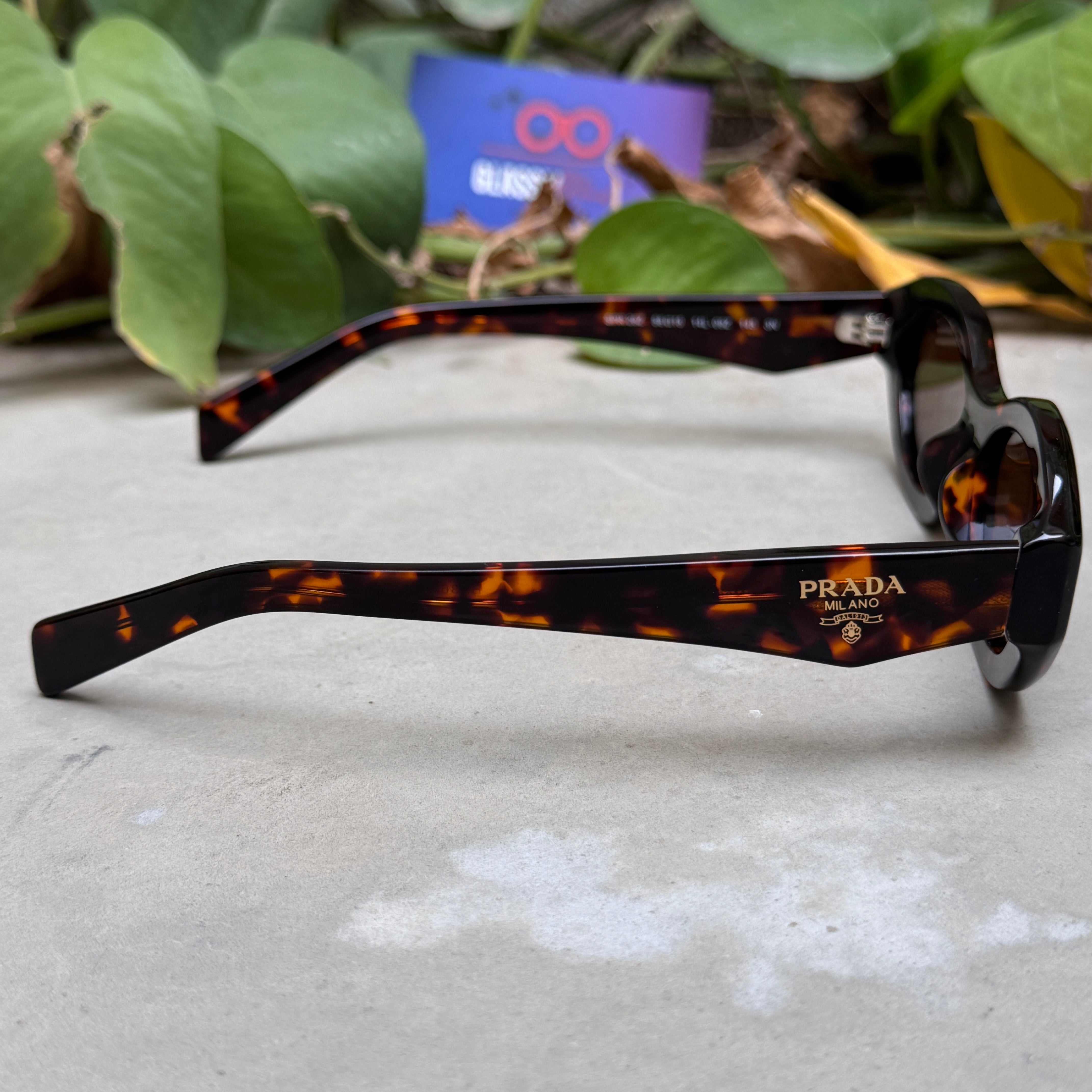 Prada – SPR 26Z - 56 - Tortoise Brown – Acetate - Sunglasses – Unisex - Premium