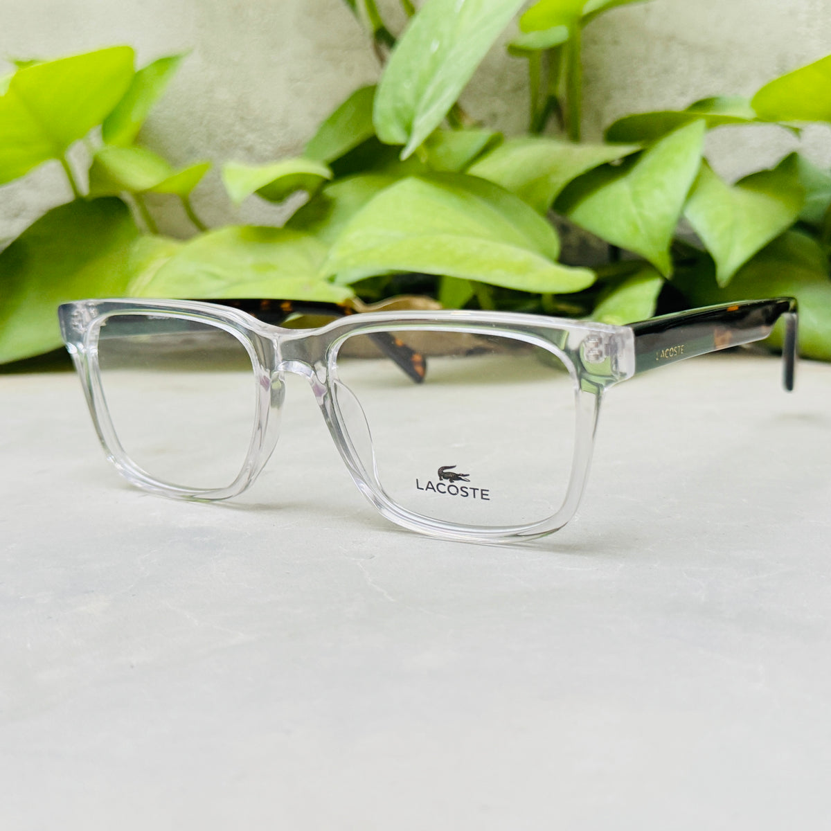 Lacoste – 2908 – 53 – Transparent Tortoise –  Acetate - Optics – Unisex - Premium