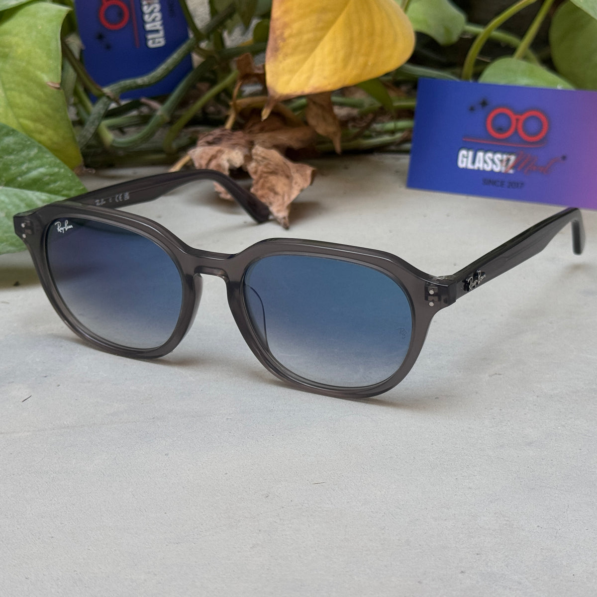 RayBan – 4459 – 54 – Grey –  Acetate- Sunglasses – Unisex - Premium