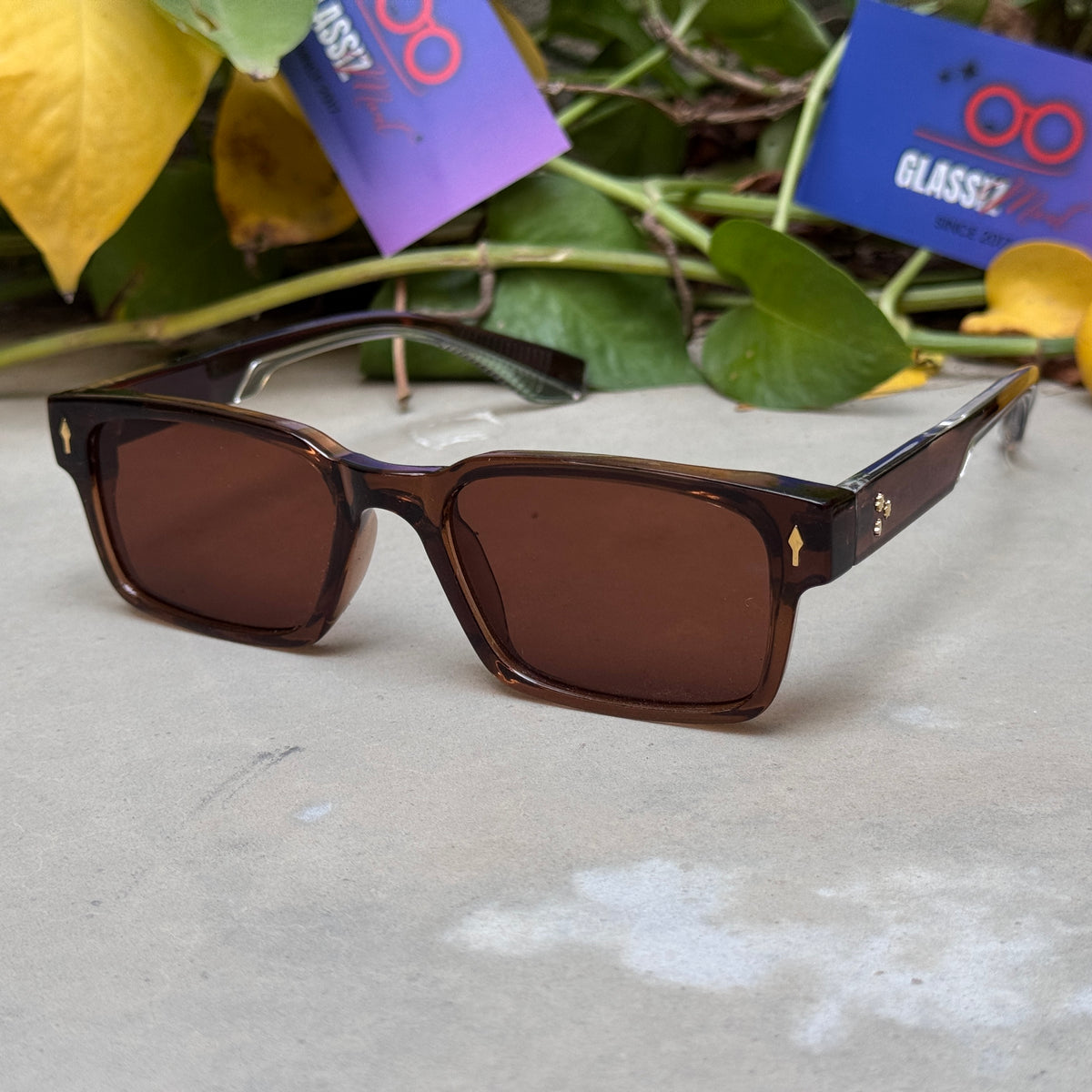 Moscot – 6041 – 53 - Brown – Acetate  – Sunglasses - Unisex