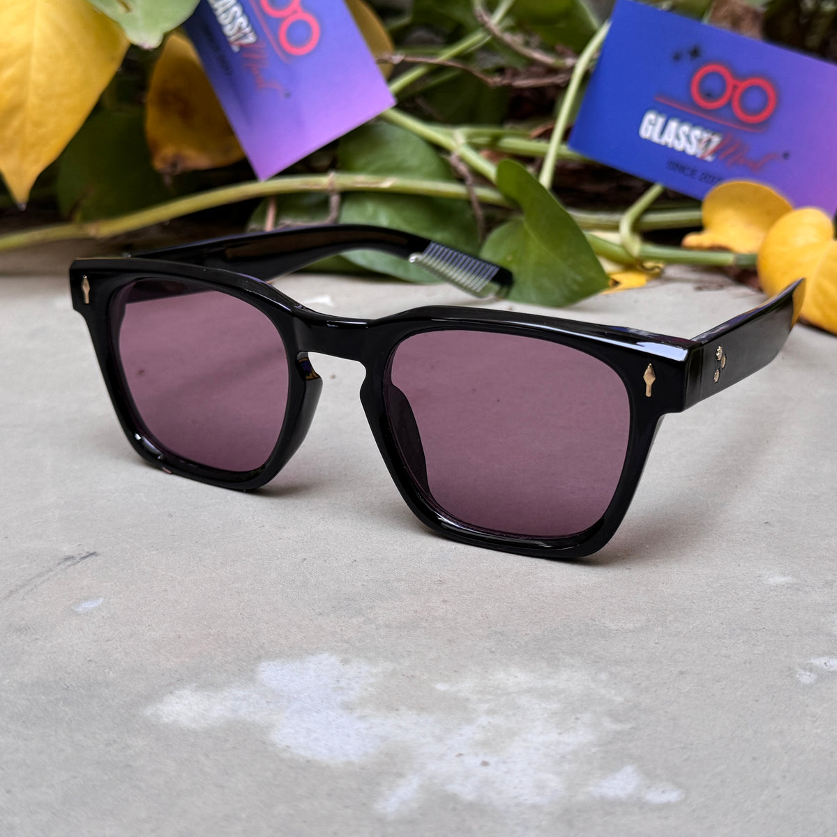 Moscot – 65020 – 52 - Black Purple – Acetate  – Sunglasses - Unisex