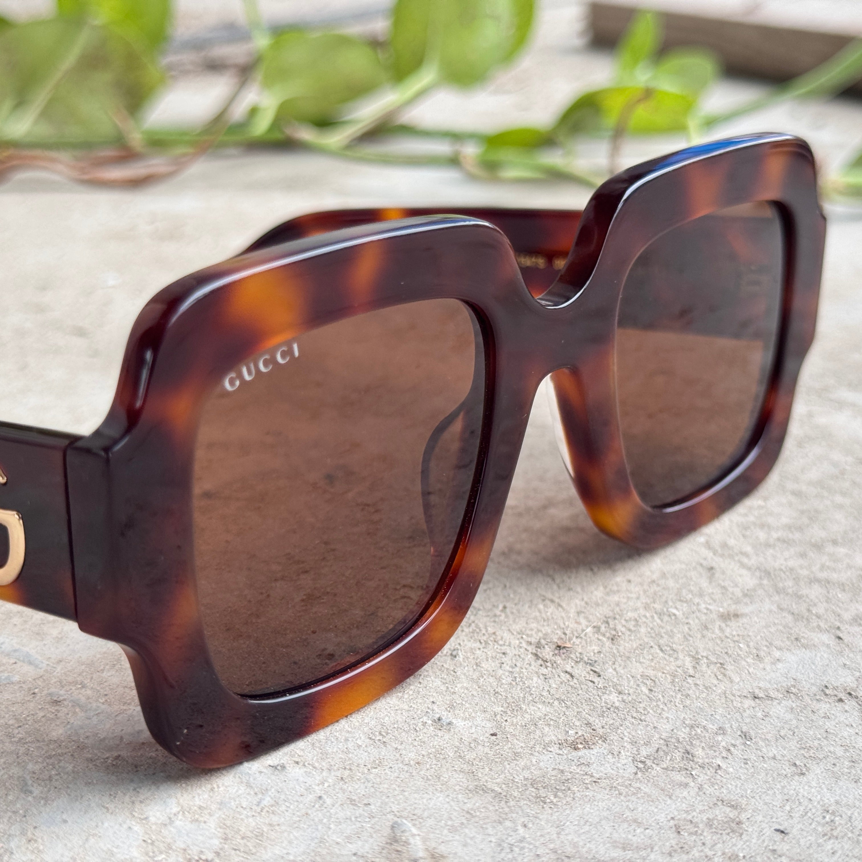 Gucci – 1547 - 50 –   Tortoise - Acetate - Sunglasses – Ladies - Premium