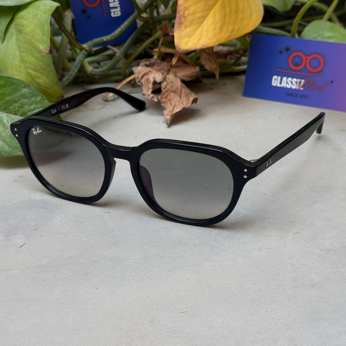 RayBan – 4459 – 54 – Black –  Acetate- Sunglasses – Unisex - Premium