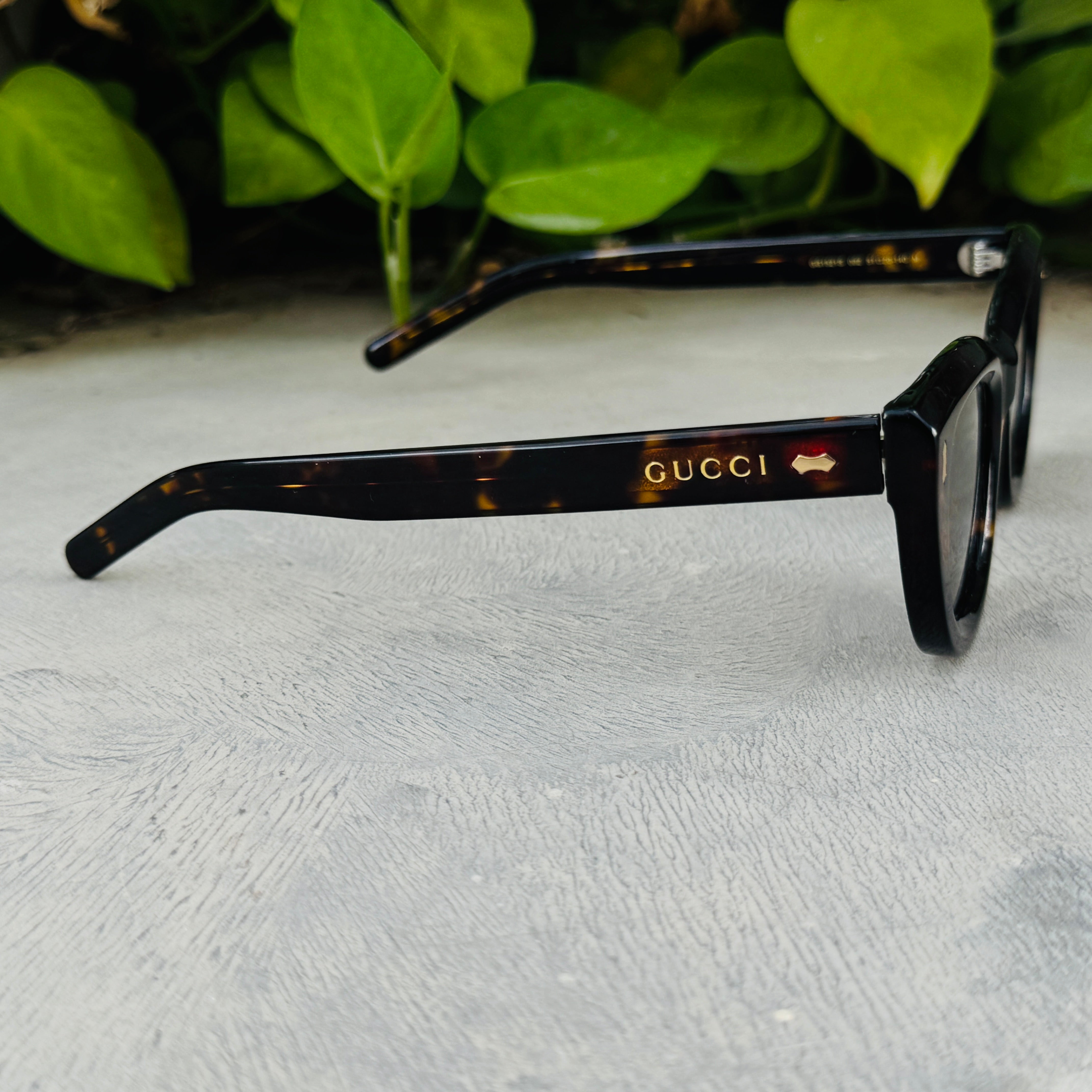 Gucci – 1521 - 51 –   Tortoise - Acetate - Sunglasses – Unisex - Premium