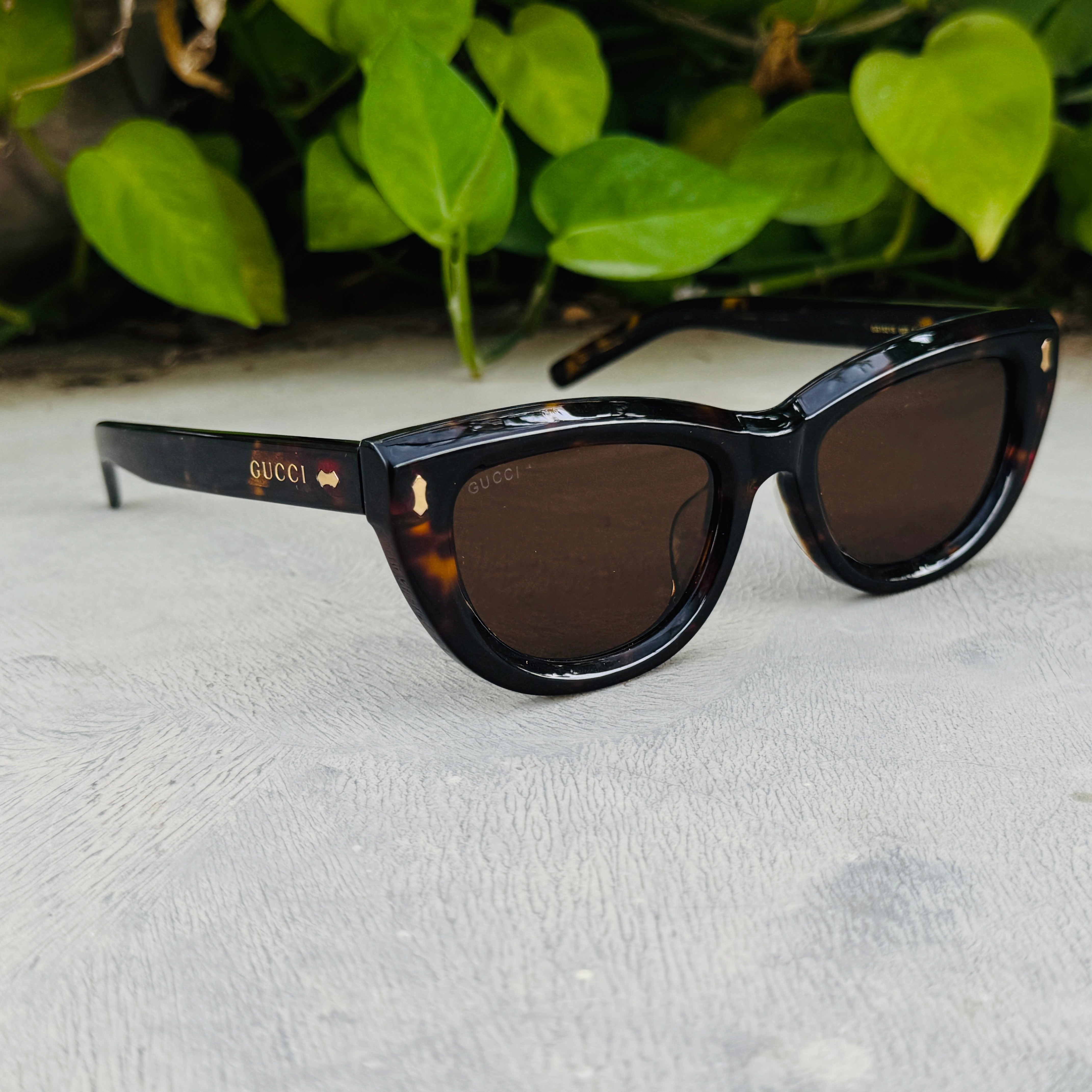 Gucci – 1521 - 51 –   Tortoise - Acetate - Sunglasses – Unisex - Premium