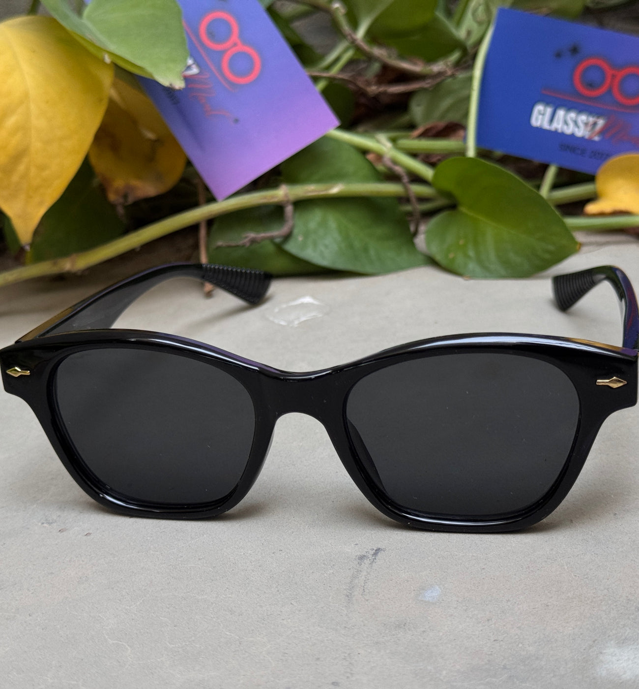 Moscot – 65013 – 50 - Black – Acetate  – Sunglasses - Unisex