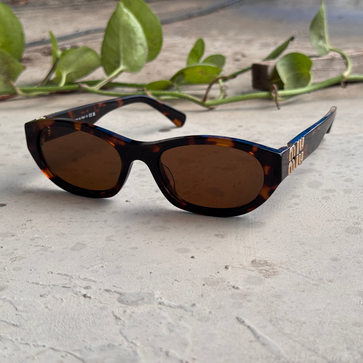 Miu Miu – A03 - 52 – Tortoise – Acetate - Sunglasses – Ladies - Premium