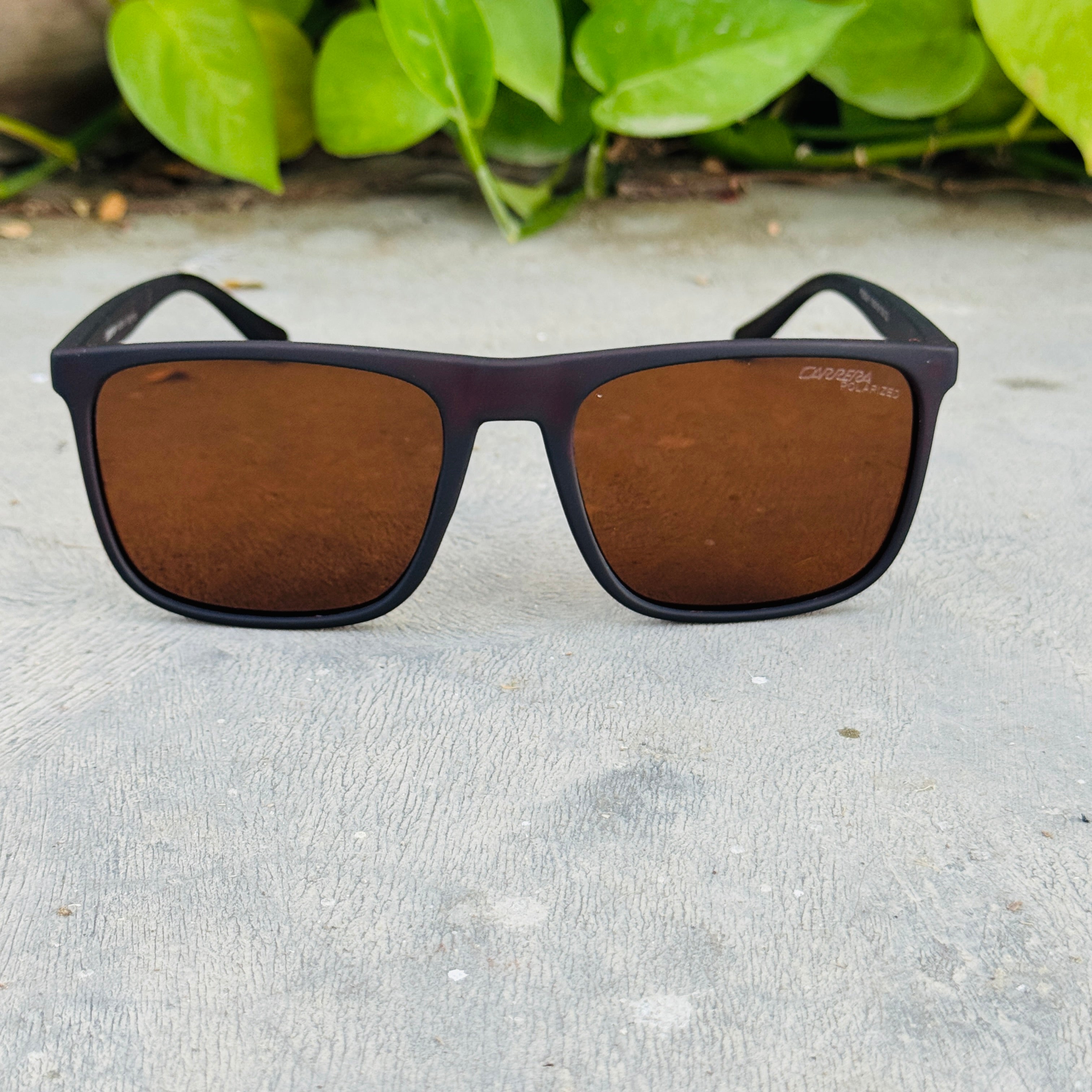 Carrera – 2303 – 56 - Brown – Acetate  – Polarized - Sunglasses - Unisex