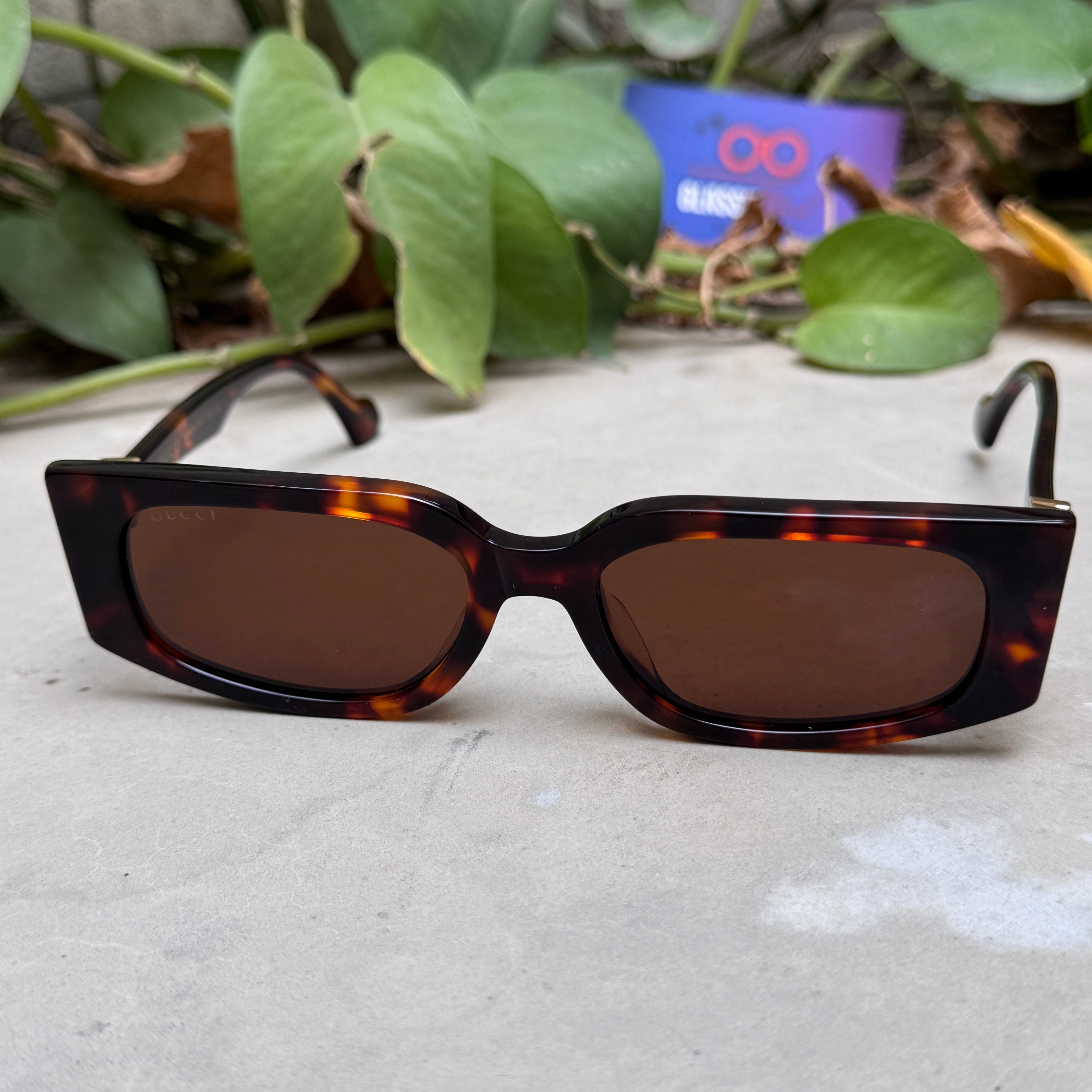 Gucci – 1534 - 55 - Tortoise Brown – Acetate - Sunglasses – Ladies - Premium