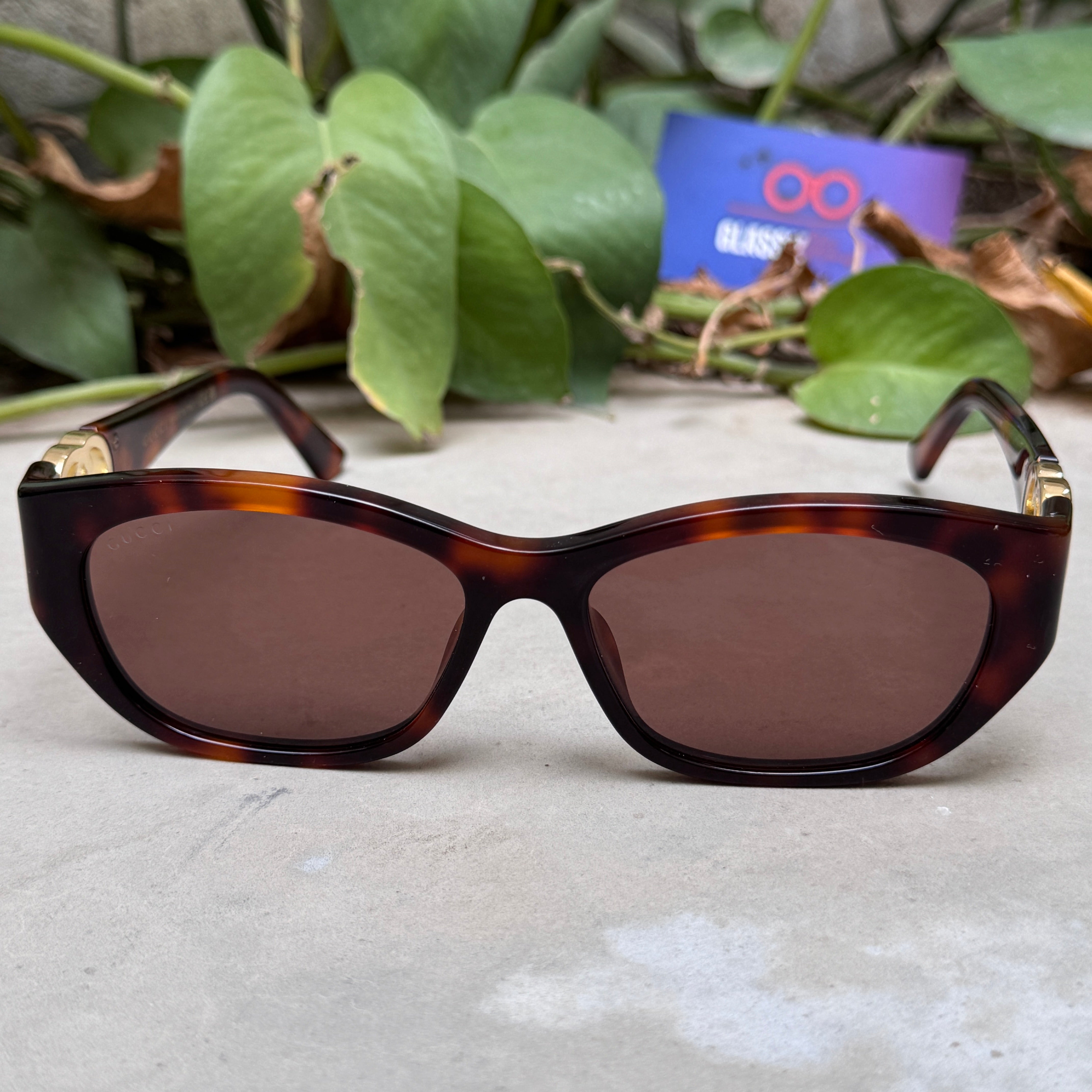 Gucci – 1826 - 57 - Tortoise Brown – Acetate - Sunglasses – Ladies - Premium