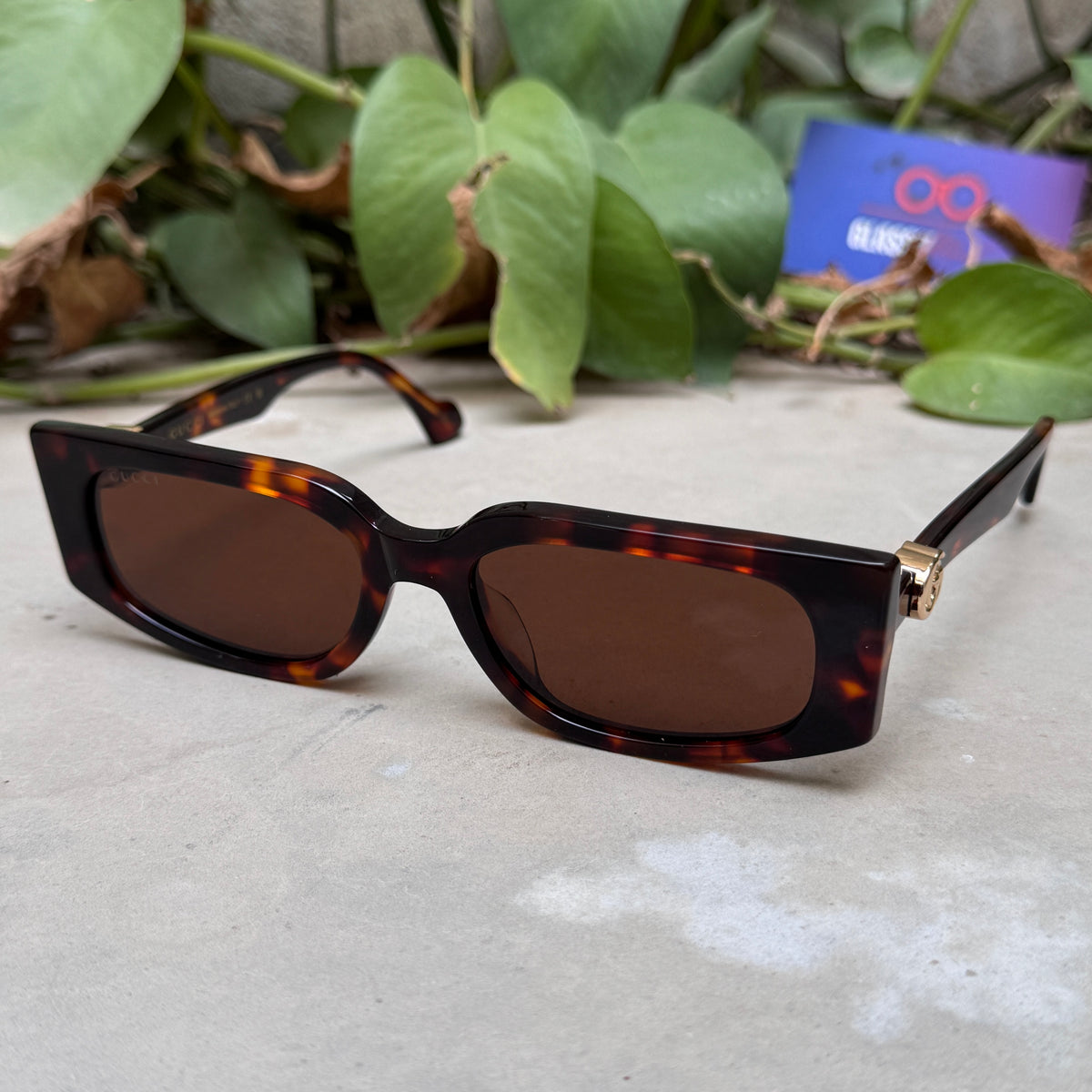 Gucci – 1534 - 55 - Tortoise Brown – Acetate - Sunglasses – Ladies - Premium