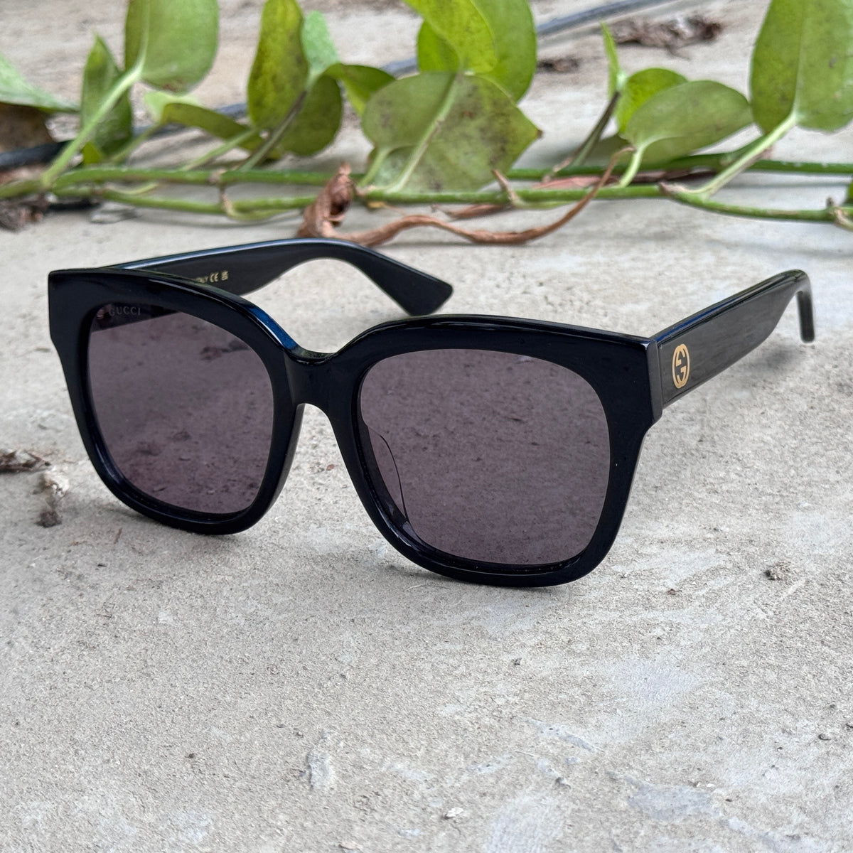 Gucci – 1338 - 50 – Black  - Acetate - Sunglasses – Ladies - Premium
