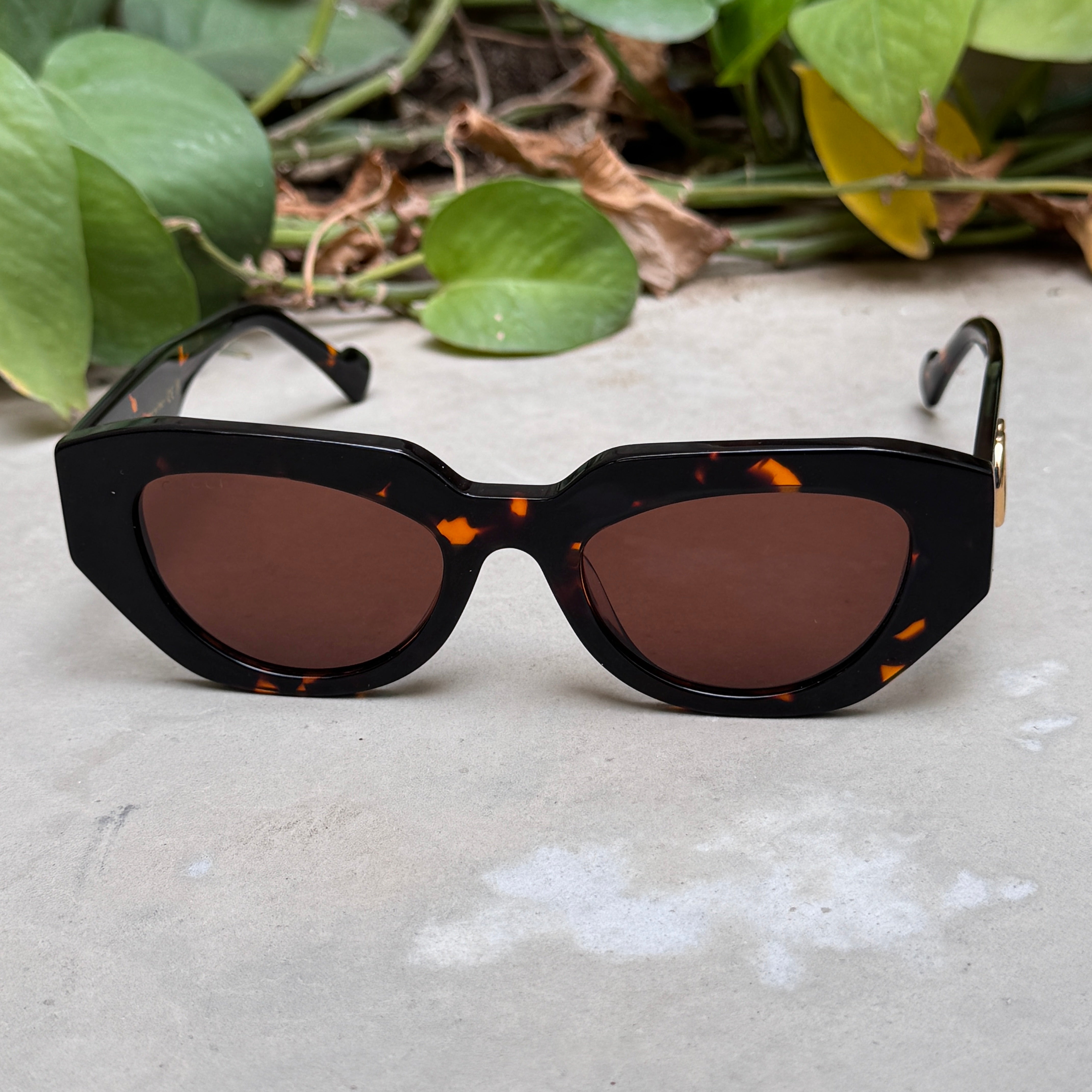 Gucci – 1421 - 51 – Tortoise – Acetate - Sunglasses – Ladies - Premium