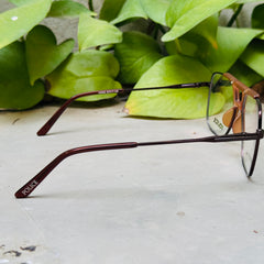 Police – 135305 – 52 – Brown –  Metal - Optics – Unisex