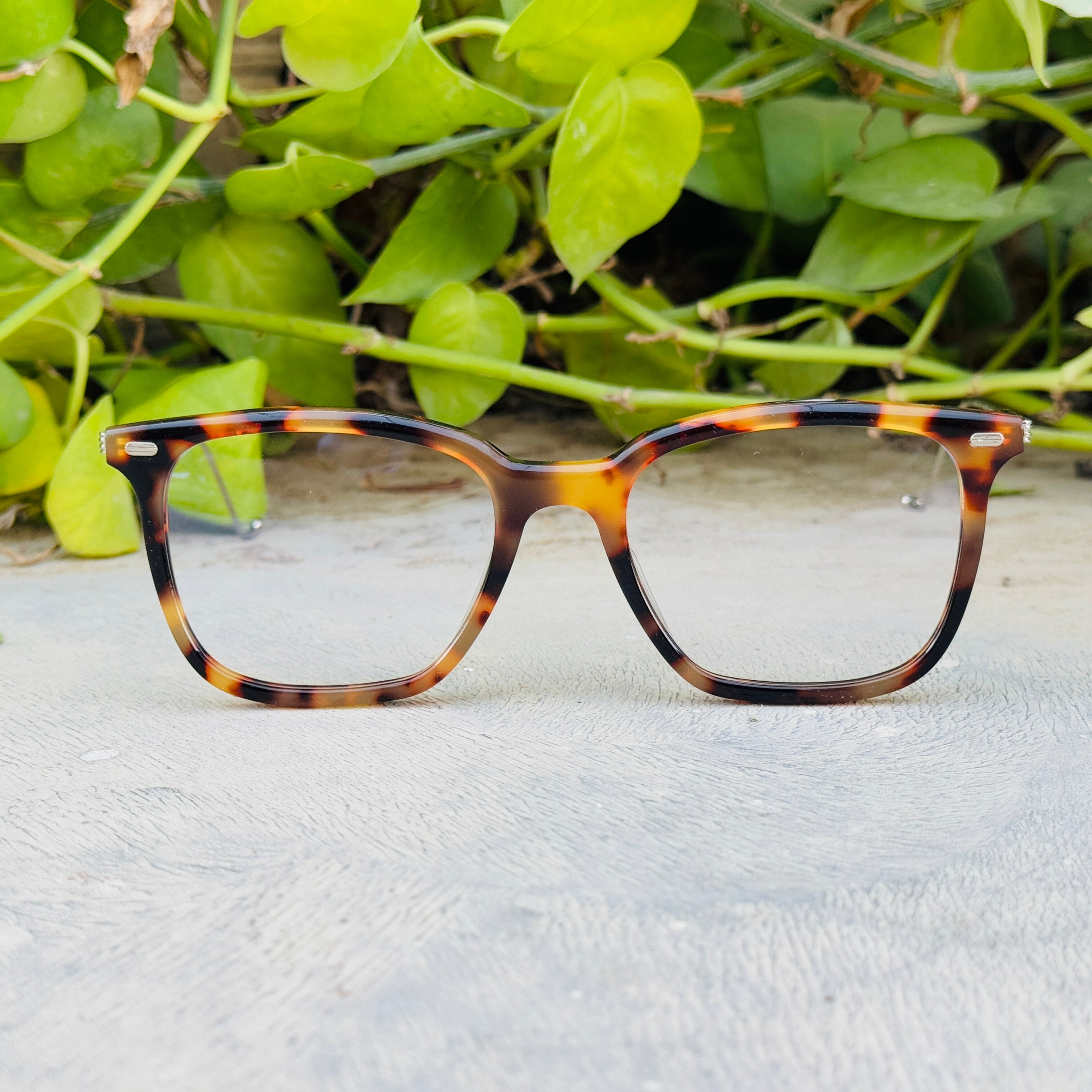Gentle Monster – 032 – 47 – Tortoise – Acetate – Metal - Optics – Unisex - Premium (Original)