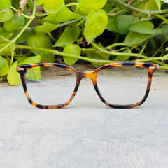 Gentle Monster – 032 – 47 – Tortoise – Acetate – Metal - Optics – Unisex - Premium (Original)